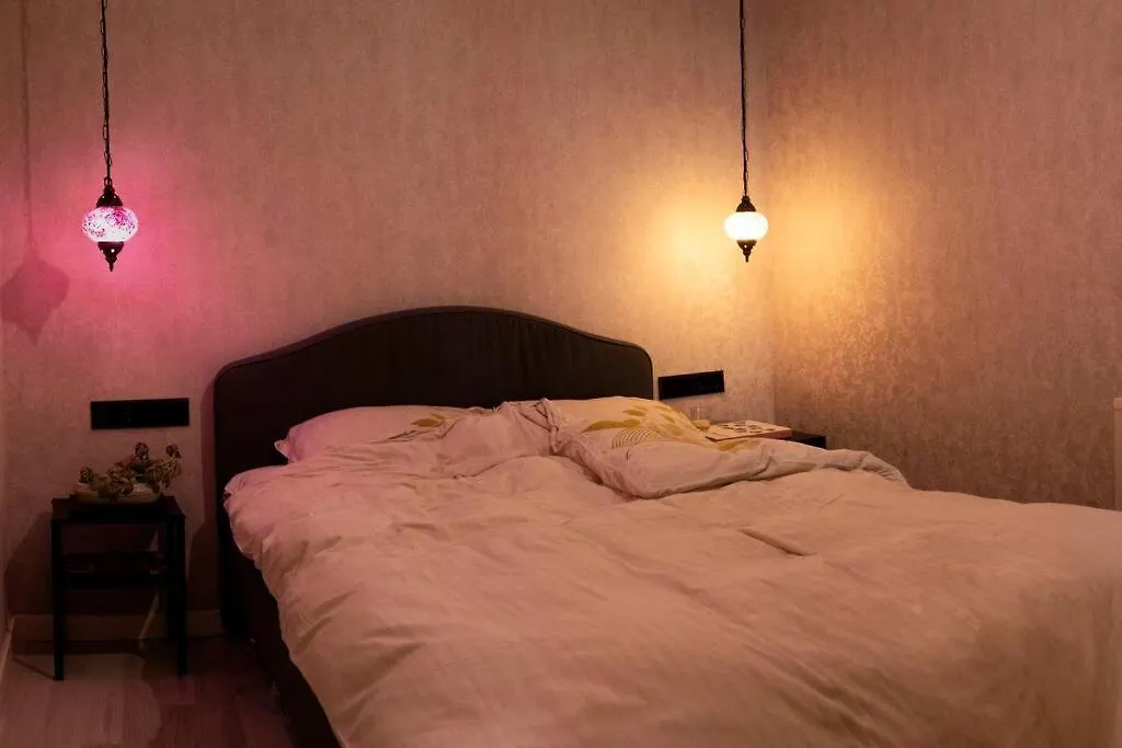 Design Apartment With Garden Istanbul