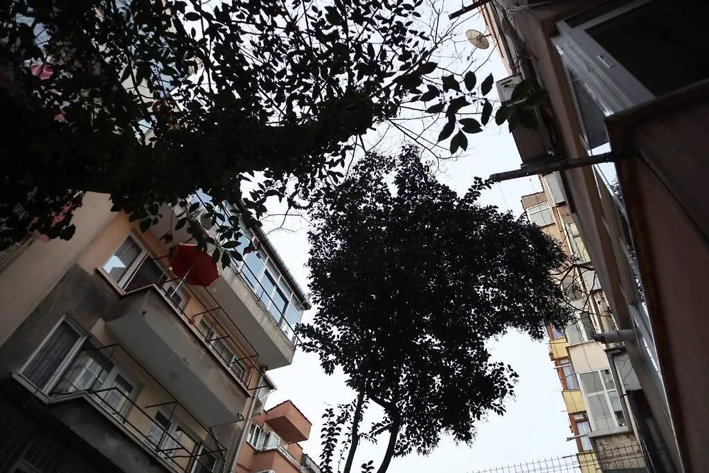 Design Apartment With Garden 伊斯坦布尔 土耳其